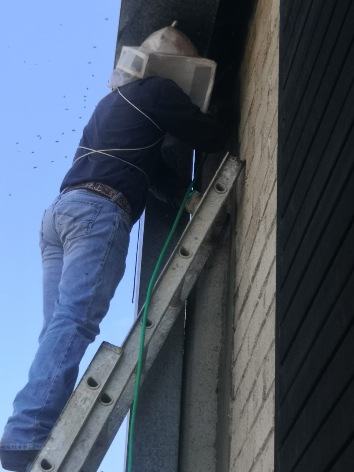 Fumigaciones en guadalajara