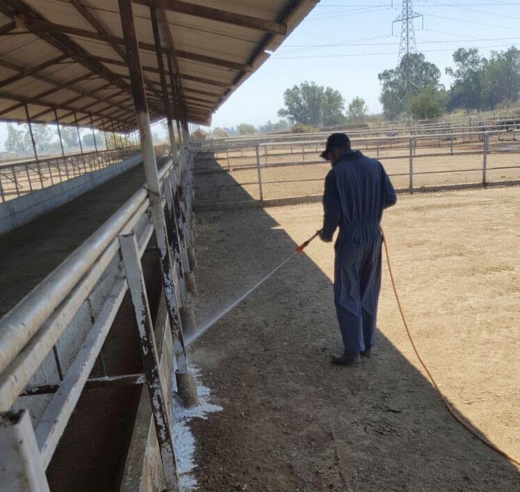 Fumigaciones en guadalajara