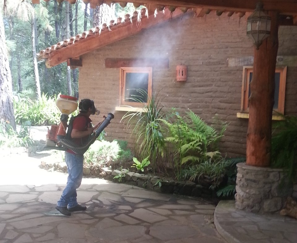 Fumigaciones en guadalajara